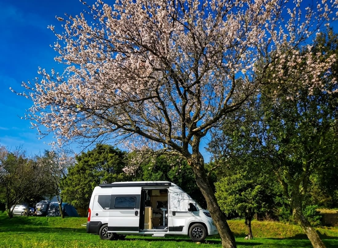 Grand emplacement pour camping-car en Sud Ardèche