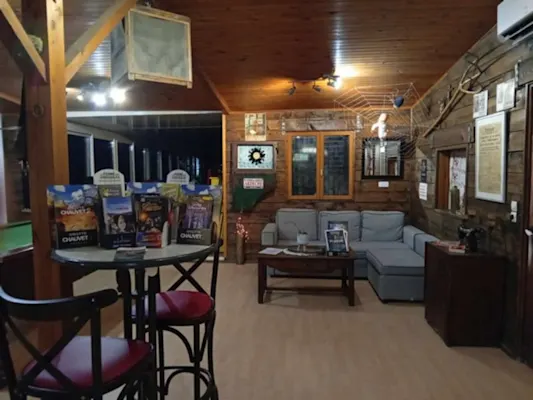 Noche animada