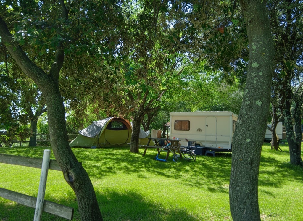 Spots pour toiles de tente de camping en ardèche
