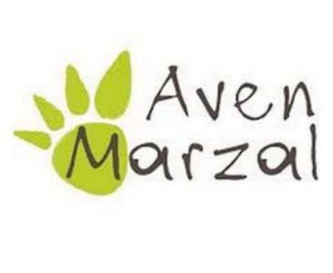 Aven Marzal in Provence