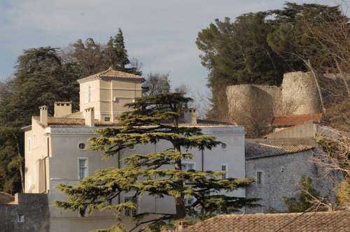 Château de Donzère - 20,3 KM